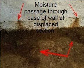 professional mold inspector