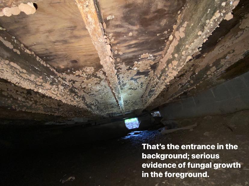 home inspection nashville tn