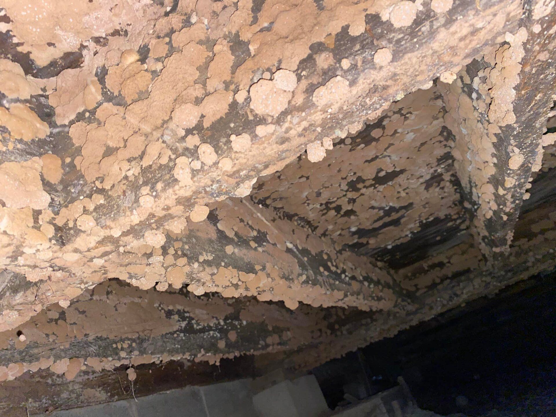 carlson home inspection