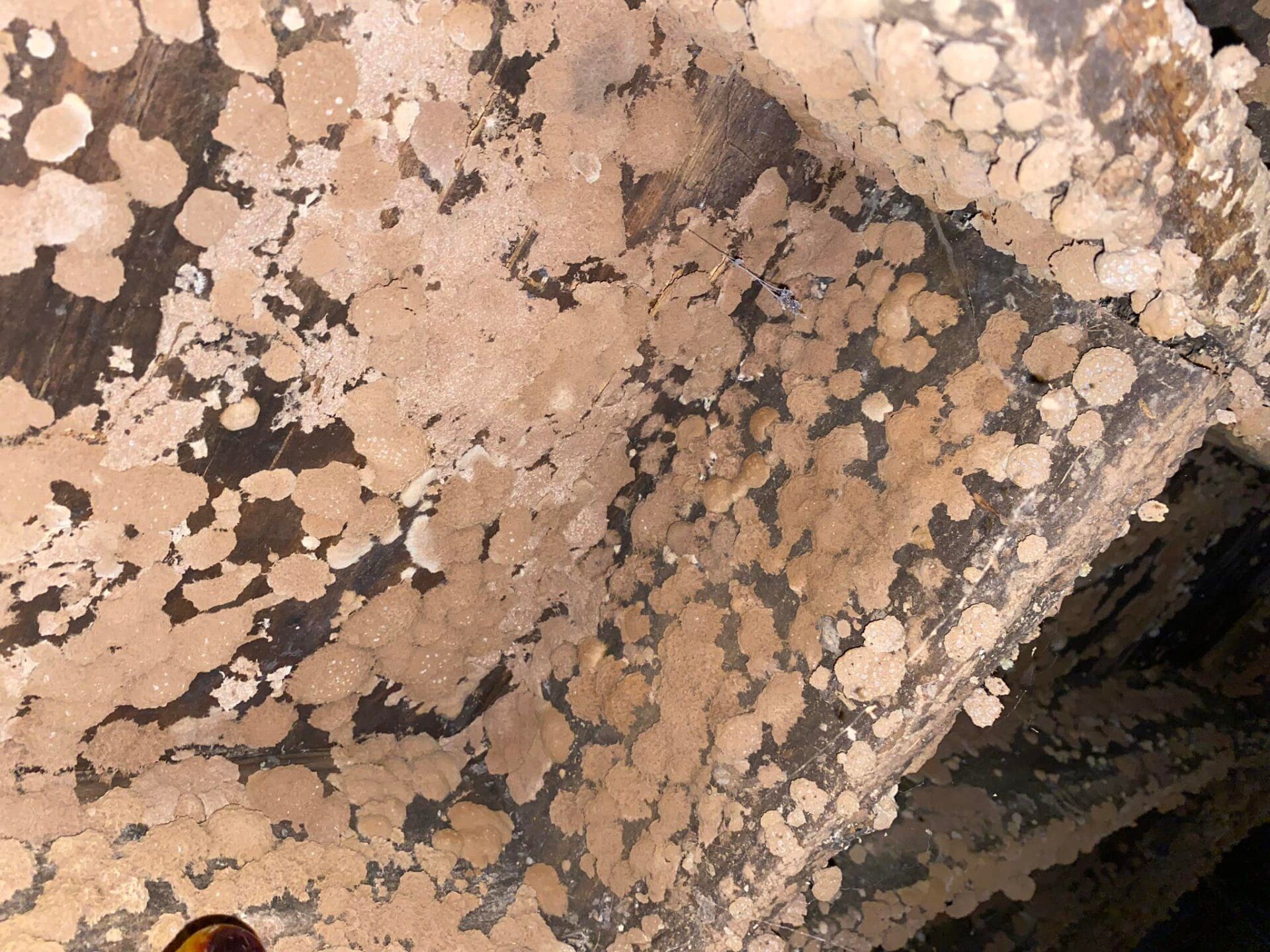 tennessee home inspection