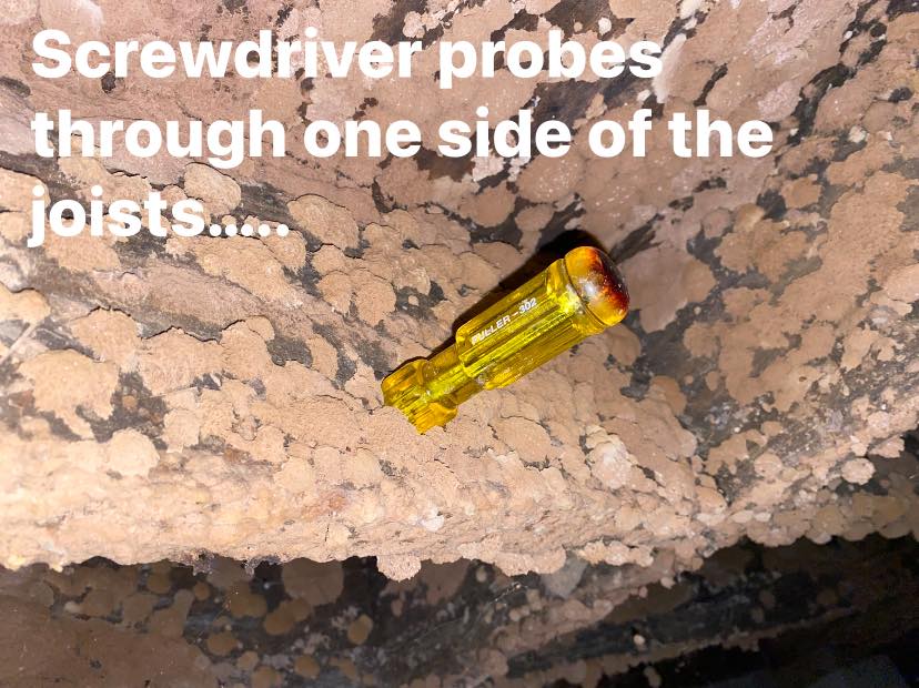 best home inspector in tn