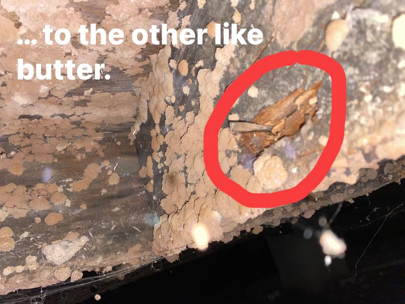 home inspections nashville