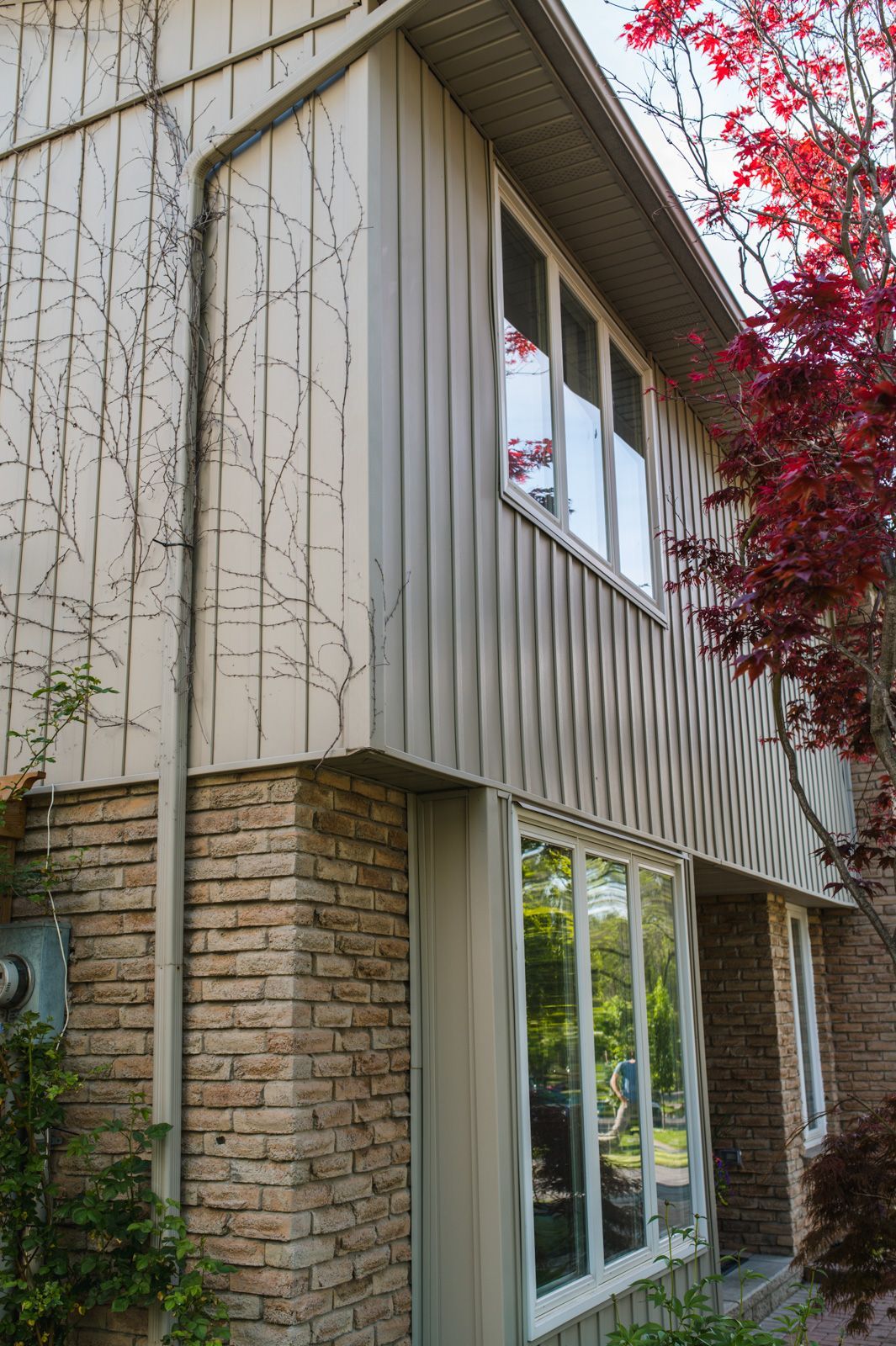 A house with a lot of windows and a tree in front of it.