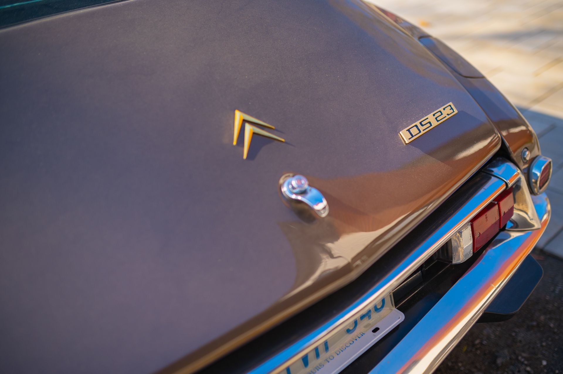 A close up of the trunk of a citroen car.