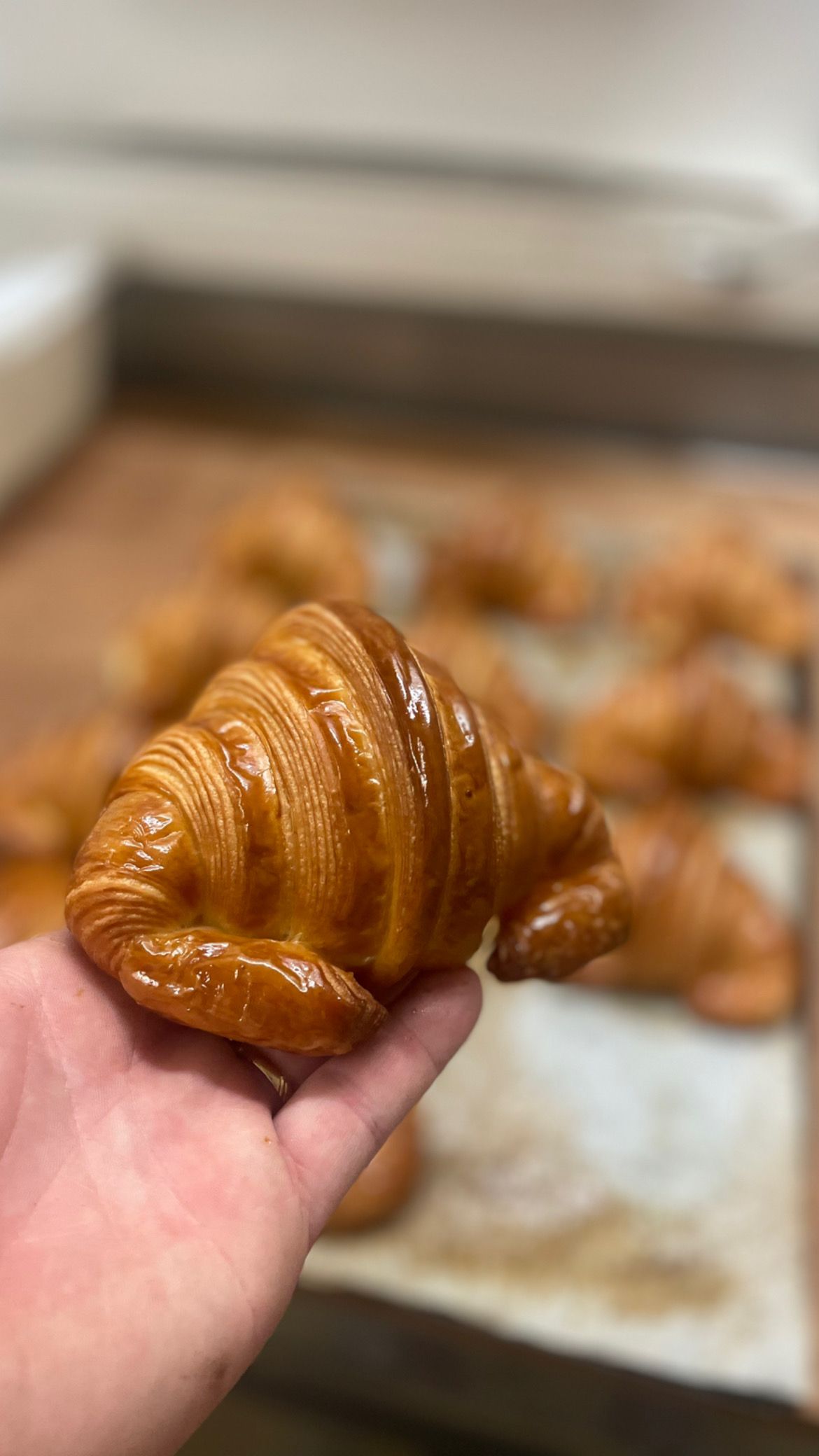 Une personne tient un croissant dans sa main devant un plateau de croissants.