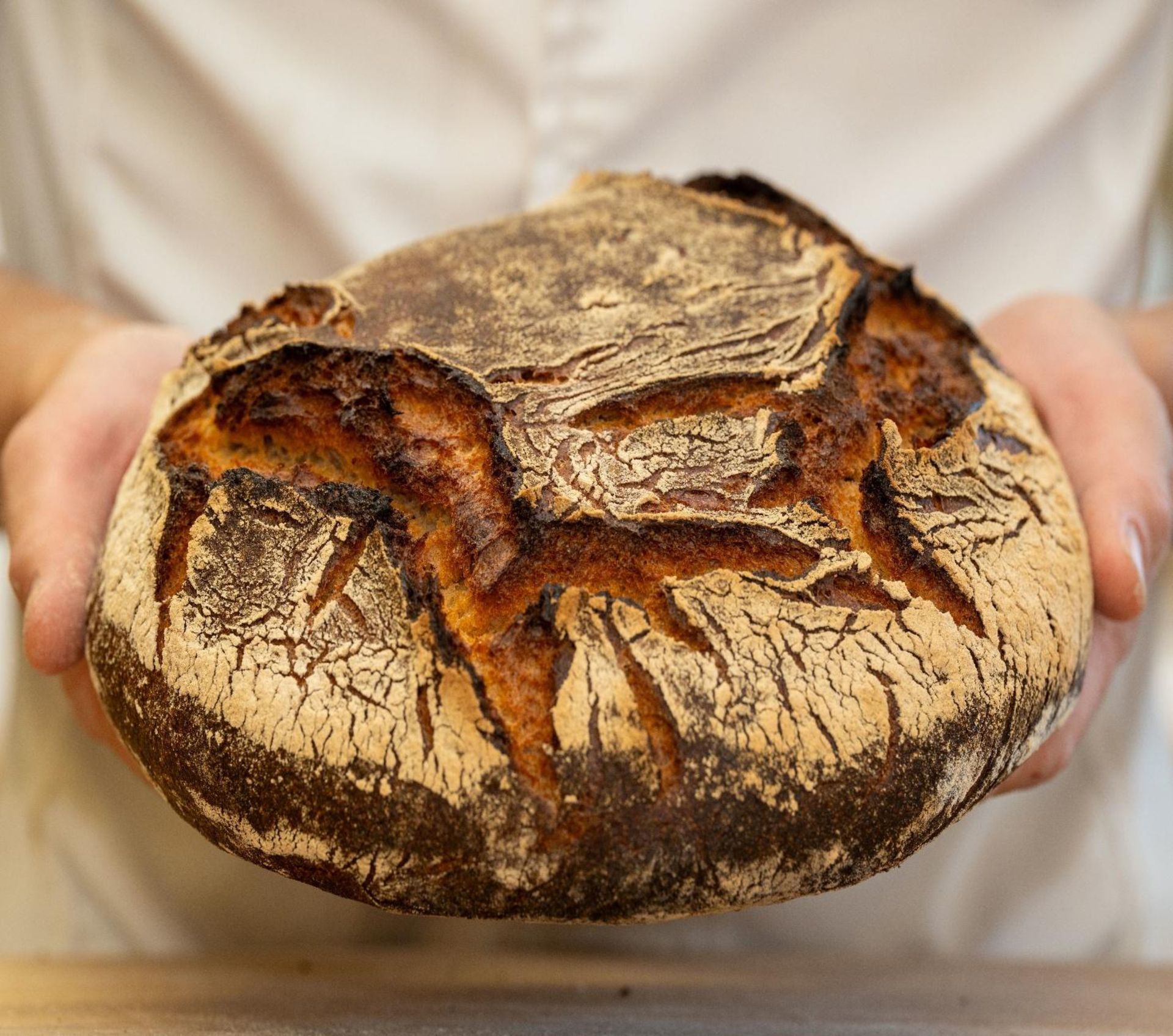 Une personne tient une miche de pain dans ses mains.