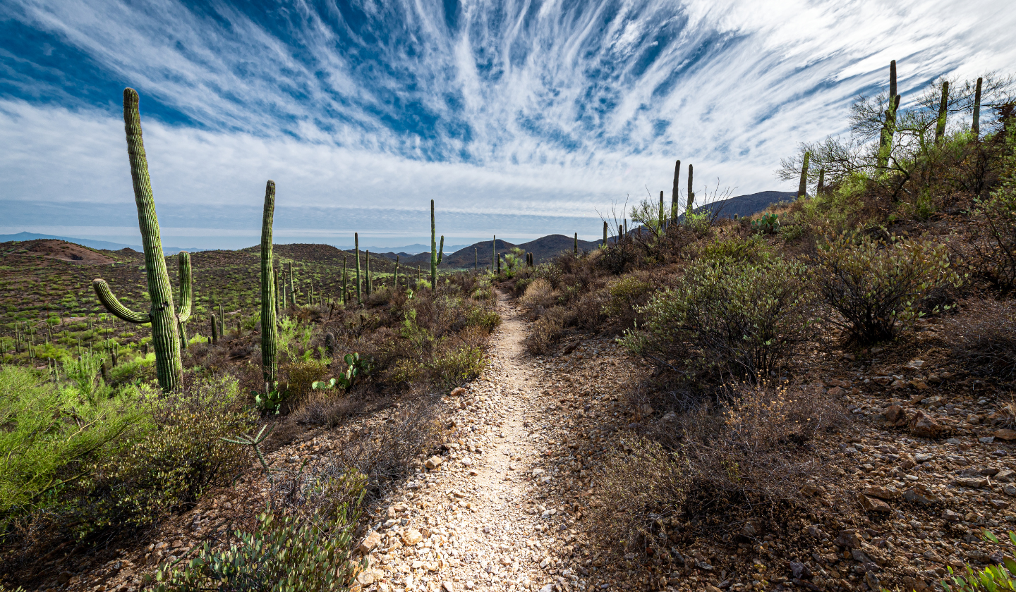 Share your location with friends! Mountain views and cacti in the Tucson Arizona desert.