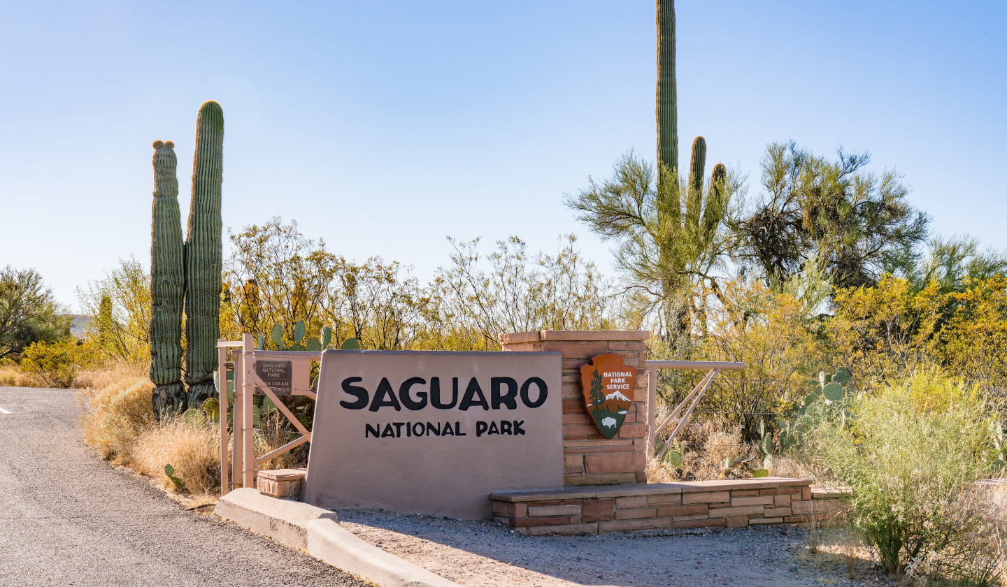 The entrance sign for Saguaro National Park in front of cacti and bushes.