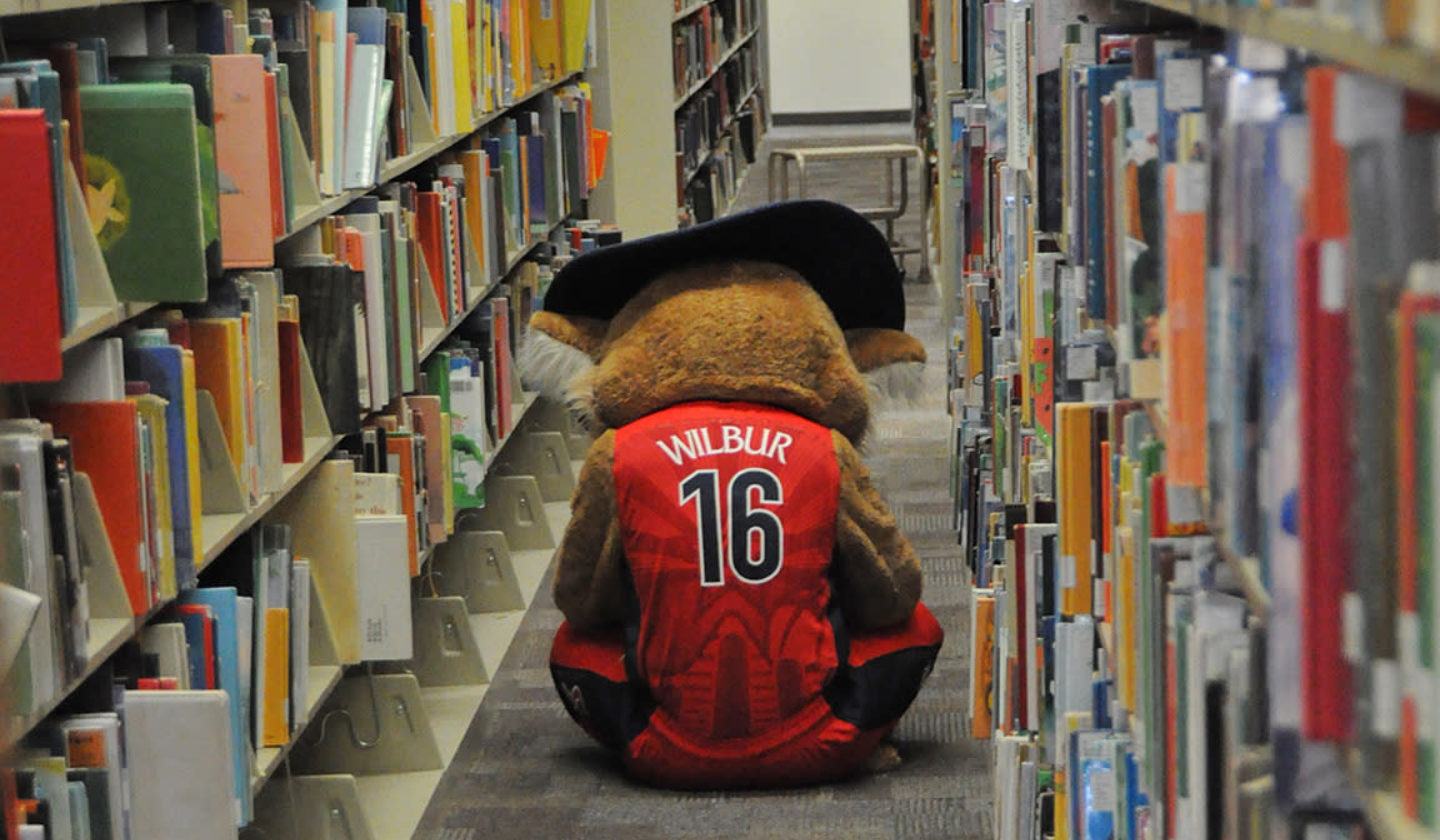 The UArizona mascot, Wilbur, sits between bookshelves, wearing a basketball jersey in the library.