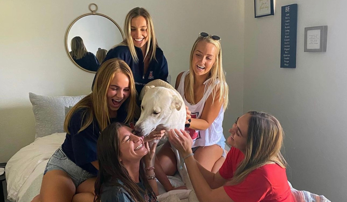 Five female residents laugh while petting a fluffy white dog in a furnished bedroom at The Seasons.