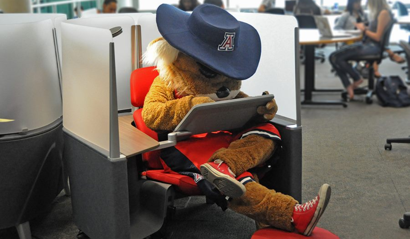 Wilbur the Wildcat is studying for finals in University of Arizona's Main library.