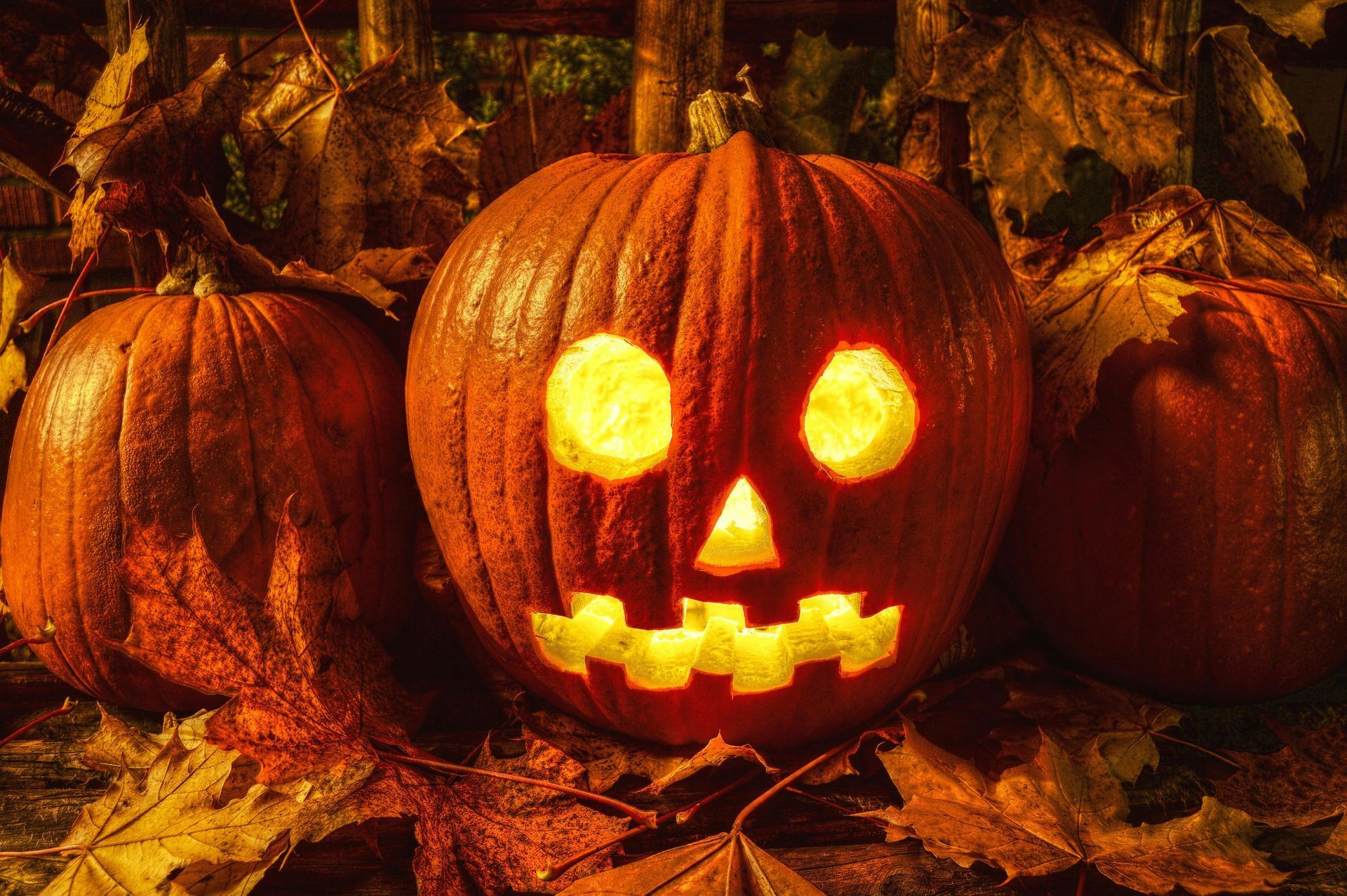 Three pumpkins on a bed of fall leaves. The middle pumpkin has been carved into a Jack-o-Lantern.
