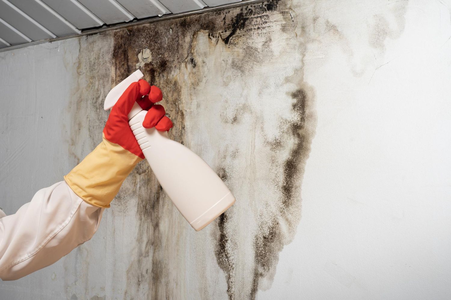 Can Mold Come Back After Remediation?