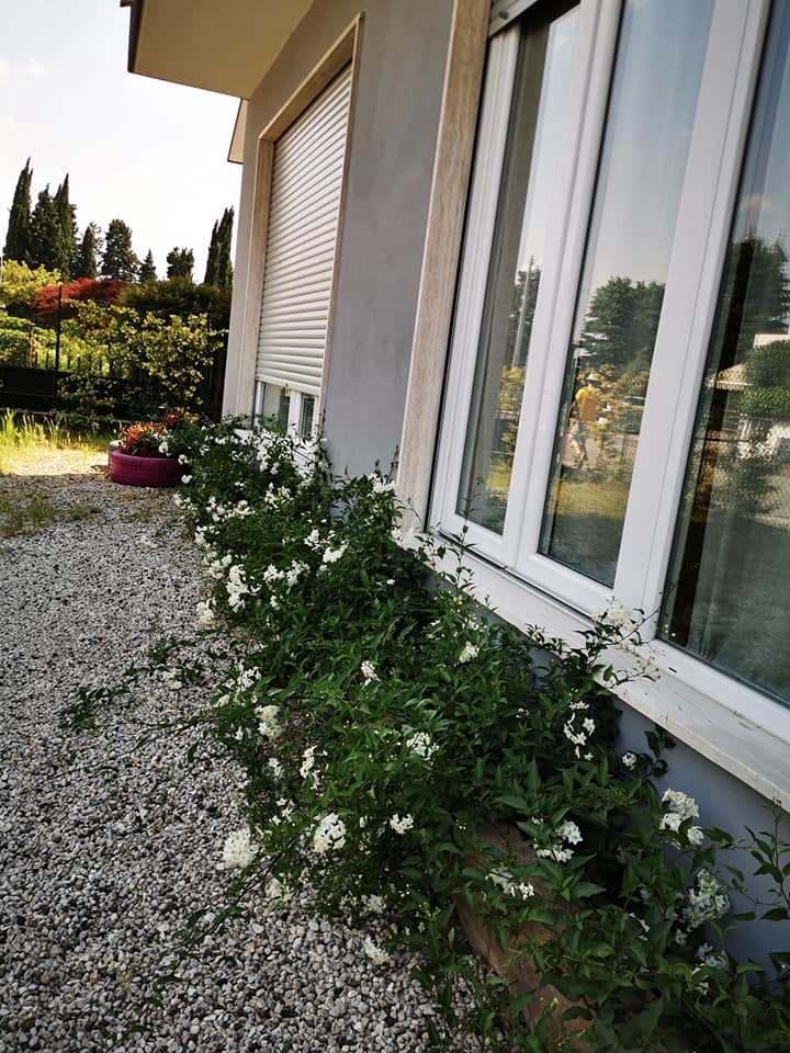 finestre in vetro su misura