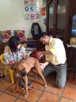 CLÍNICA QUIROPRÁCTICA GABRIEL MONTERRUBIO