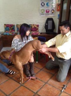 CLÍNICA QUIROPRÁCTICA GABRIEL MONTERRUBIO