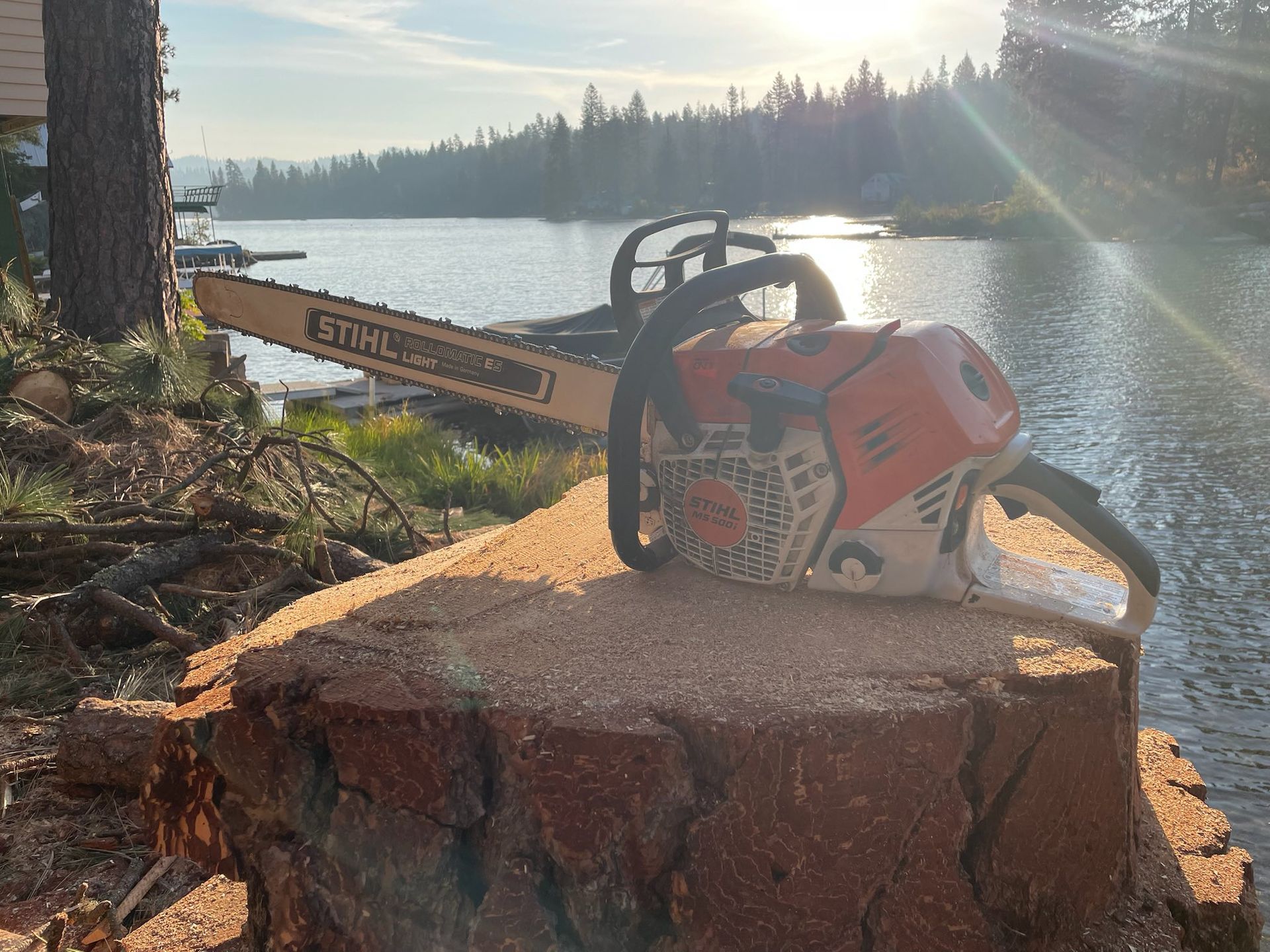 A Stihl chainsaw resting on a fresh tree stump by a lake during a sunny day.