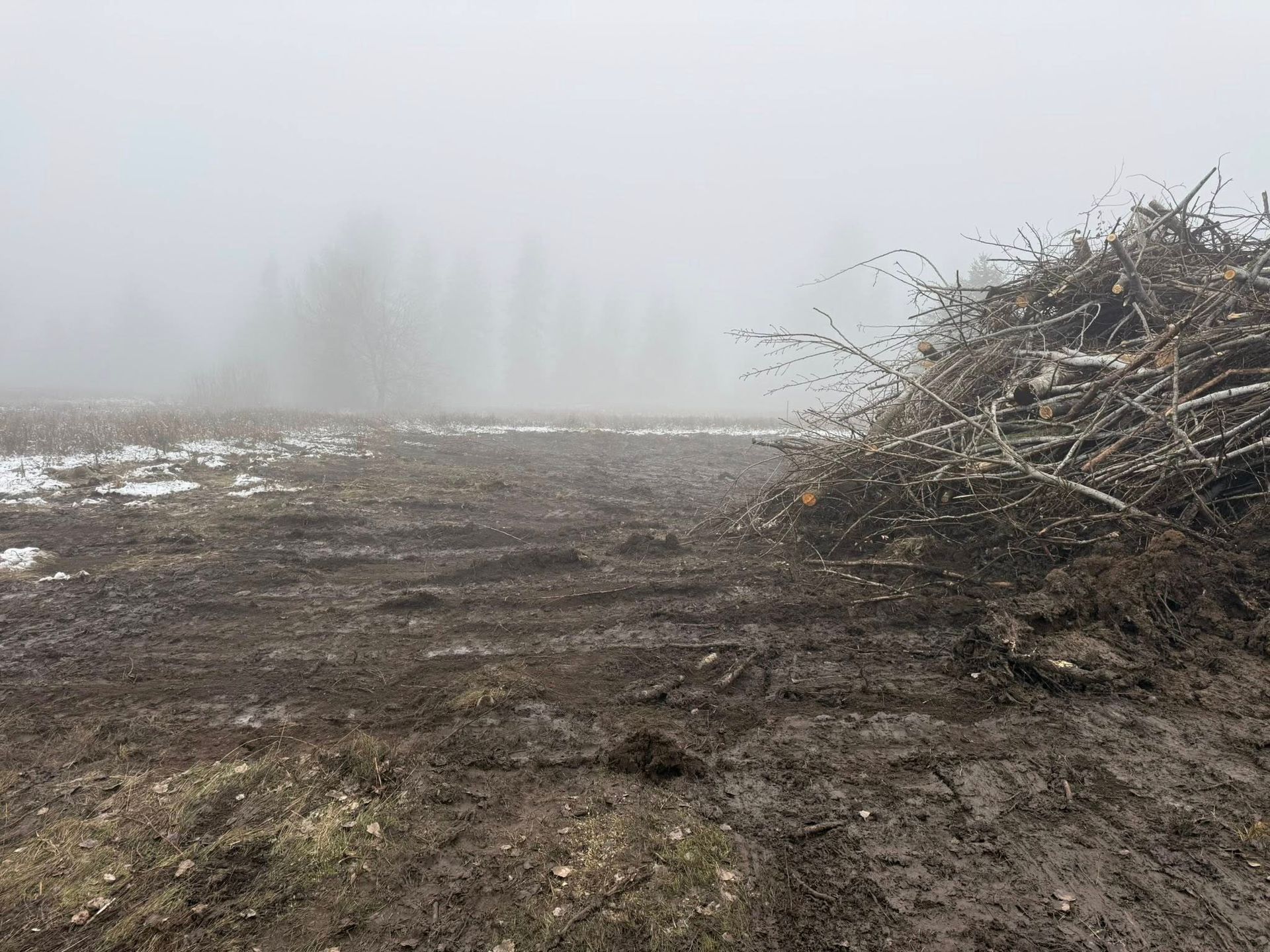 A muddy, cleared lot on a foggy day with a large pile of brush and tree limbs on the right.