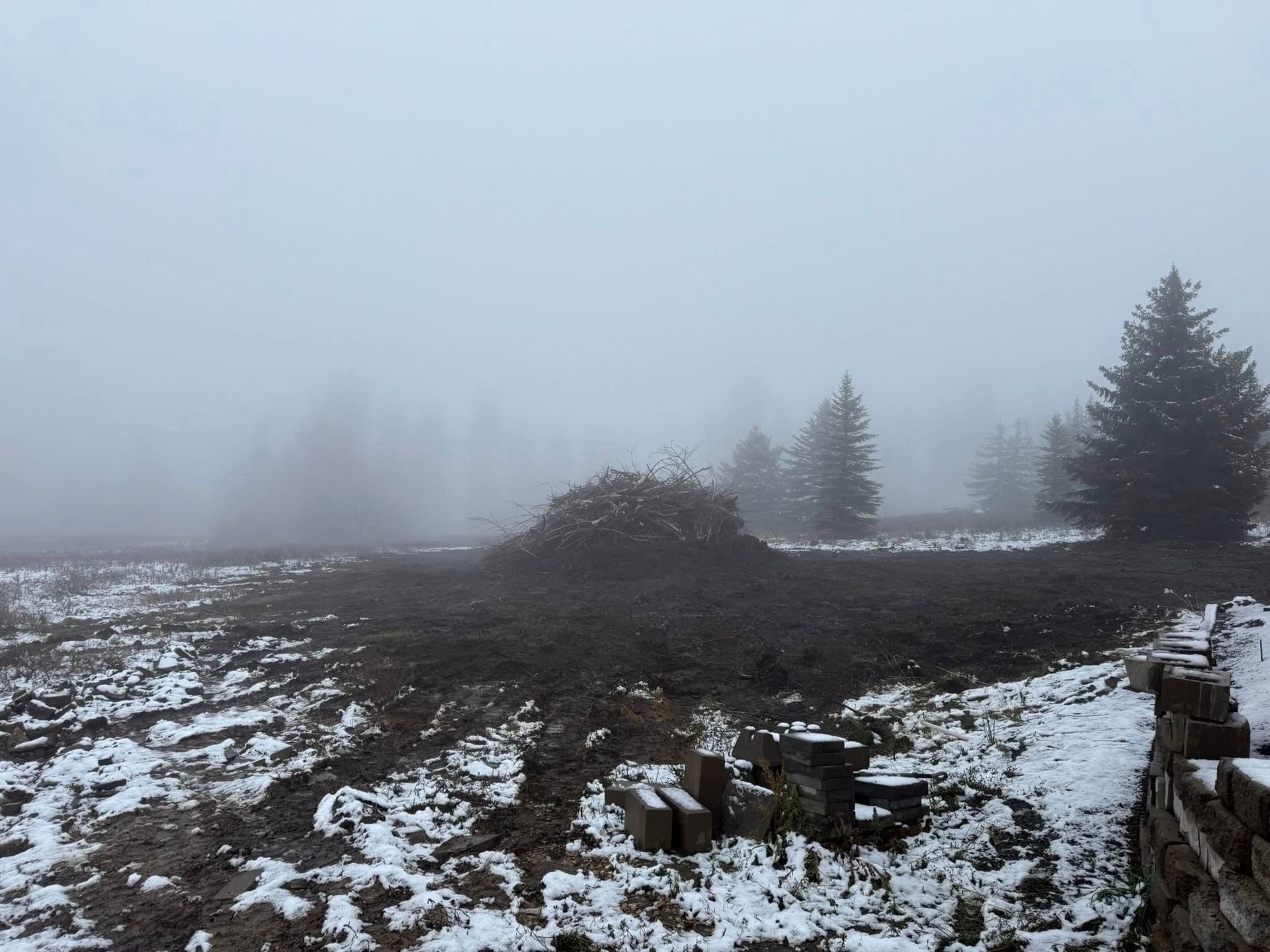A snowy, muddy field under heavy fog, featuring a brush pile in the center and scattered pine trees in the distance.