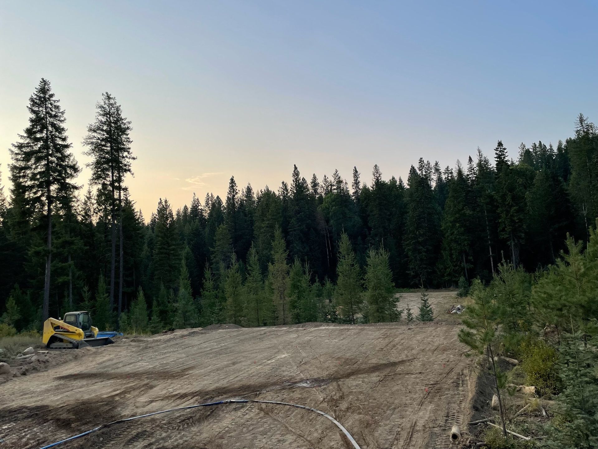A yellow excavator sits at the edge of a cleared, dirt-covered construction site bordered by a dense evergreen forest.
