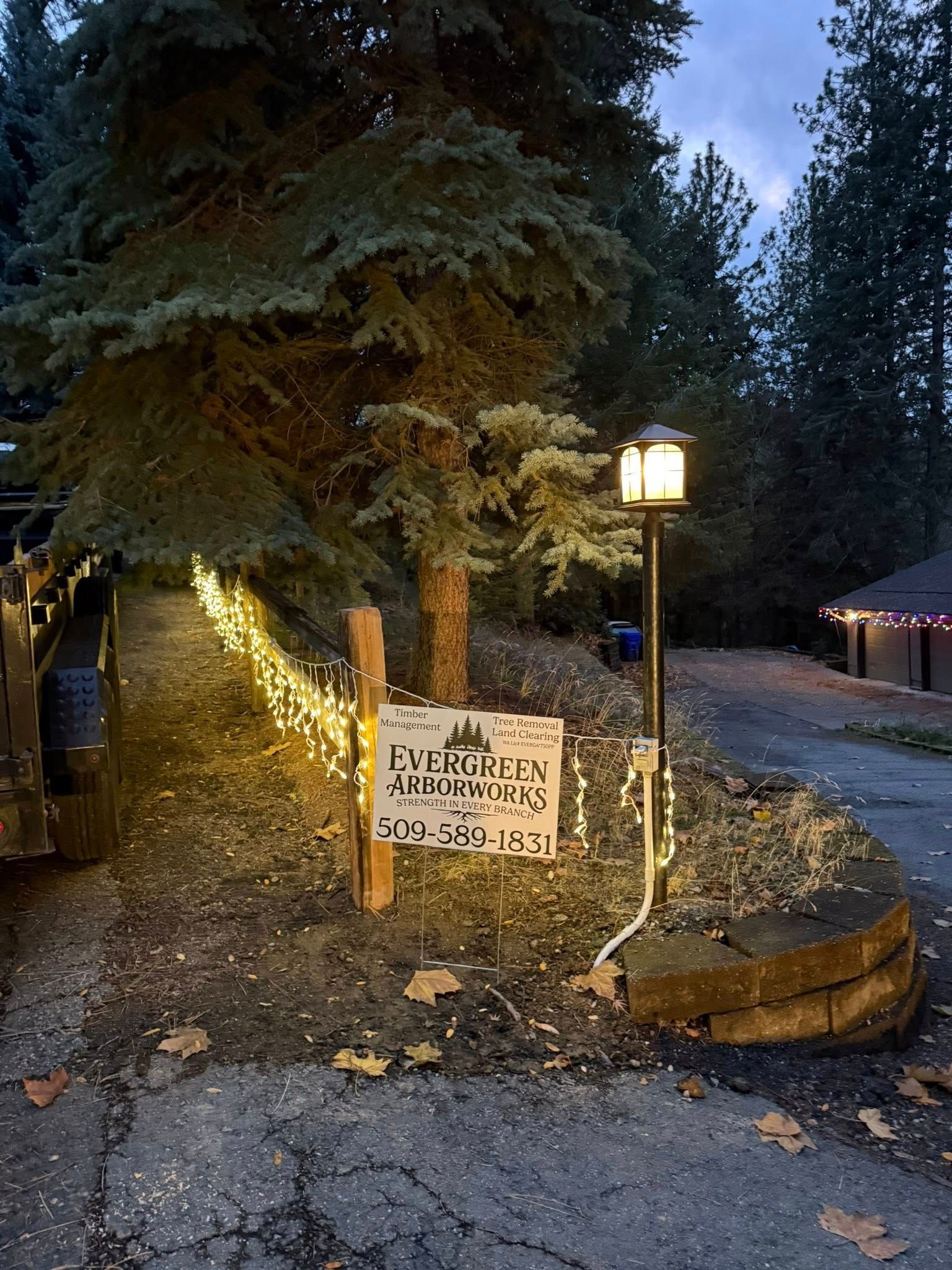 A sign for fireworks sits by a lamppost and a tree, illuminated by a string of warm fairy lights along a driveway.