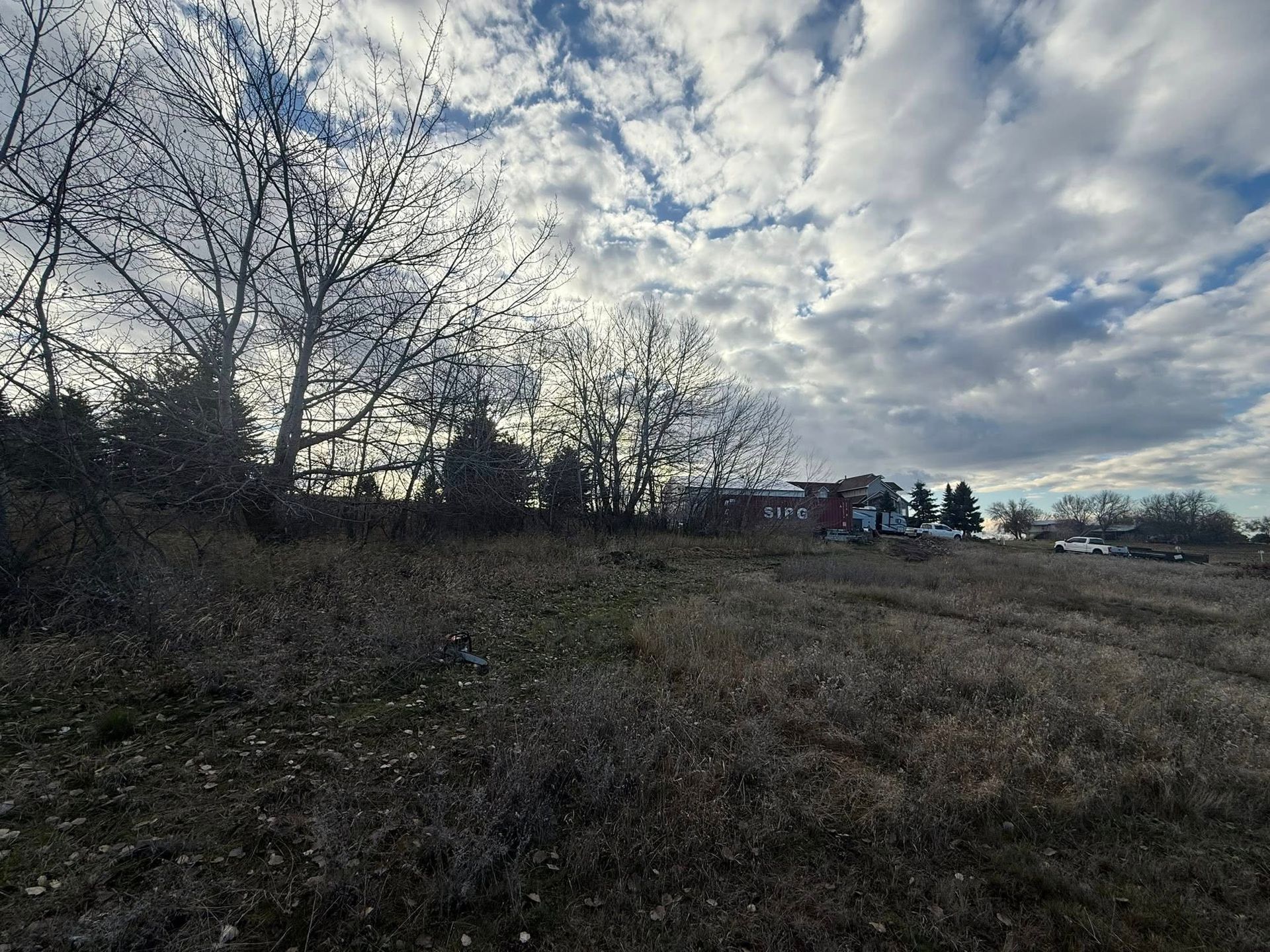 A grassy, uneven field beneath a cloudy blue sky, with a cluster of bare trees and distant buildings on the horizon.