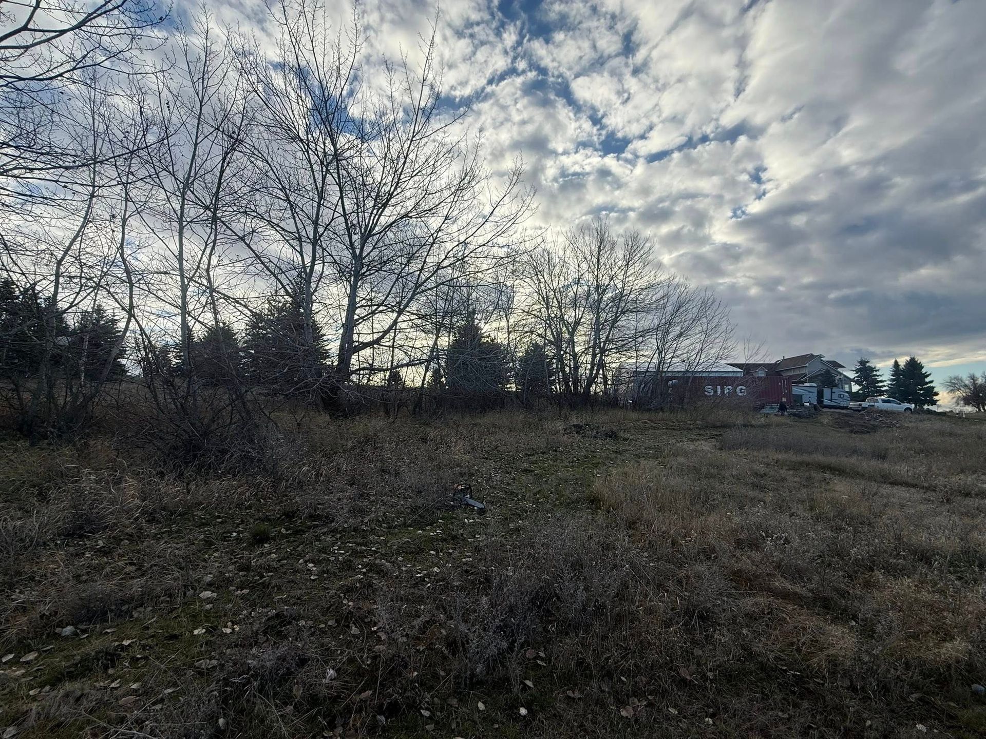 Bare trees stand against a cloudy sky over a dry, grassy field with a building visible in the distance.