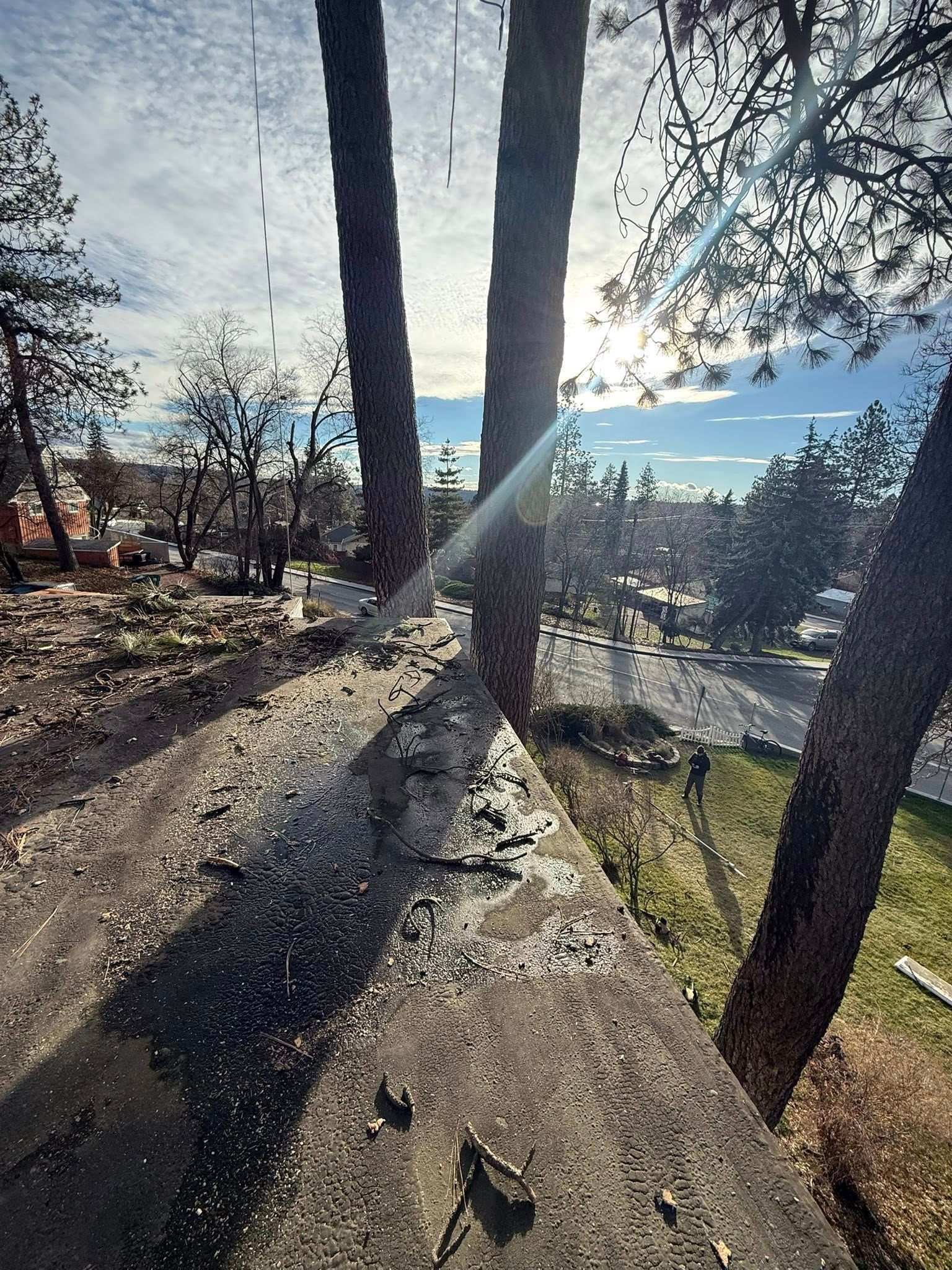 A concrete wall edge foregrounds trees and a sunlit landscape with a clear, blue sky above.