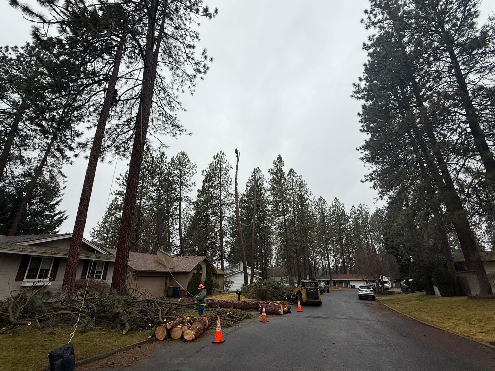A suburban street with downed trees and debris, showing workers cleaning up after a storm.