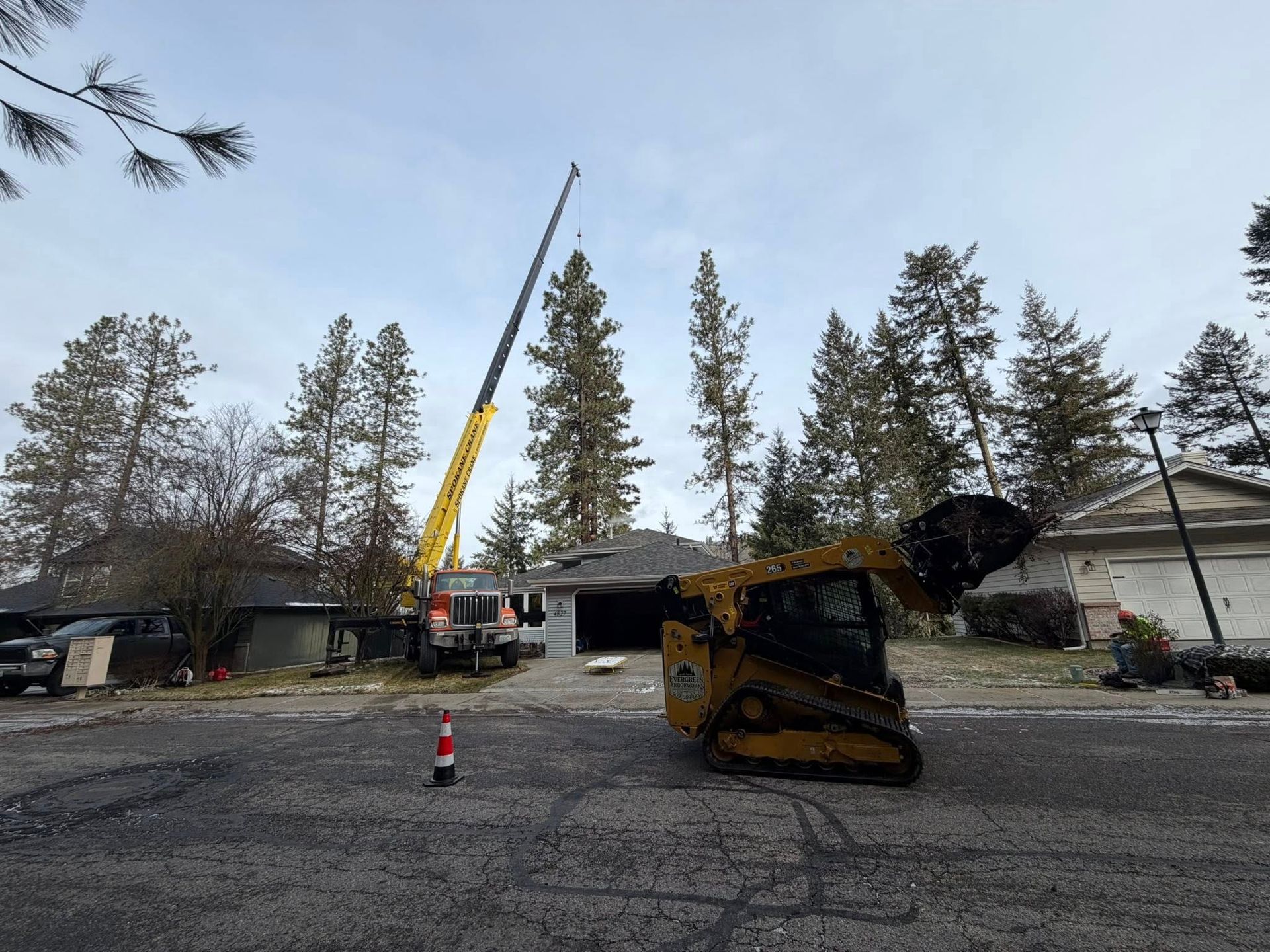 A yellow crane and a tracked skid steer parked on a residential street during a tree removal project.