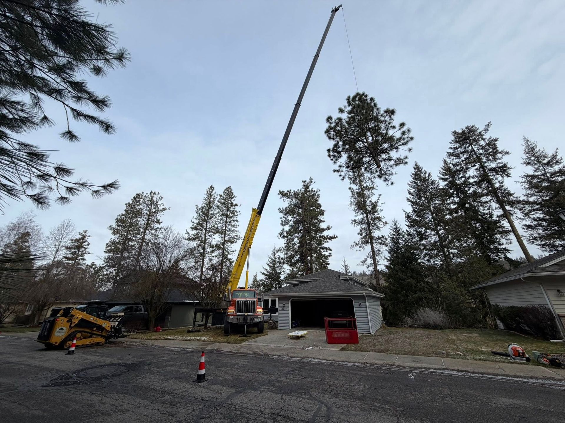 A yellow crane works on a tall pine tree in a suburban residential neighborhood next to a detached garage.