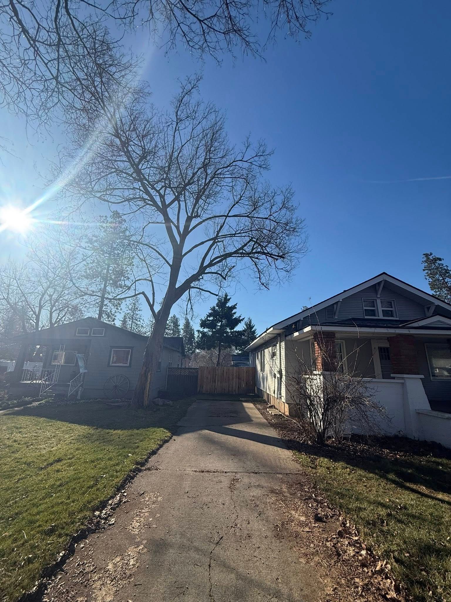 A residential street view featuring a paved driveway, a house on the right, and a tall bare tree under a clear blue sky.