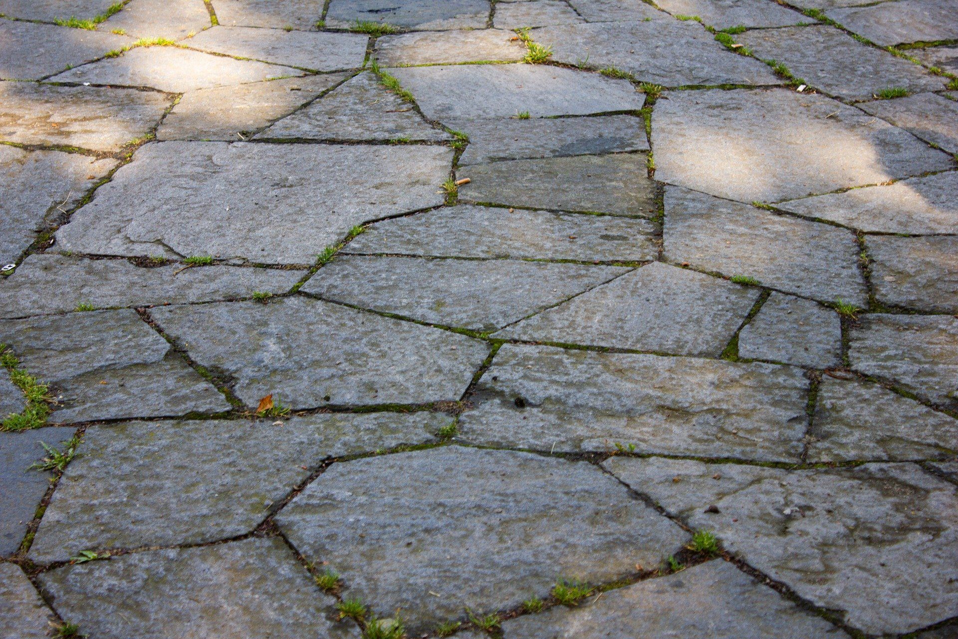 Close-up view of a flagstone footpath in a yard, showcasing intricate stone patterns and textures.