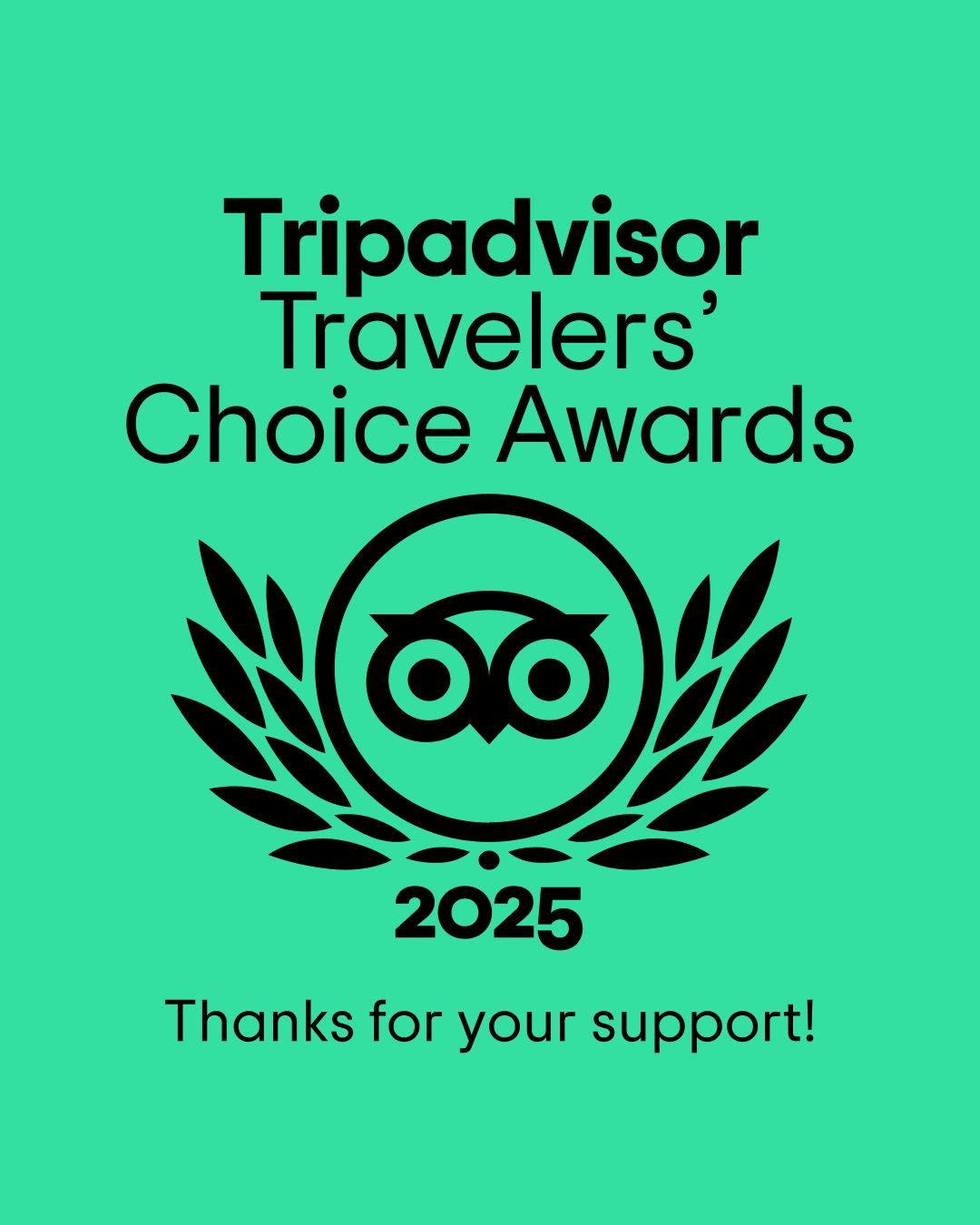 tripadvisor travelers' choice awards