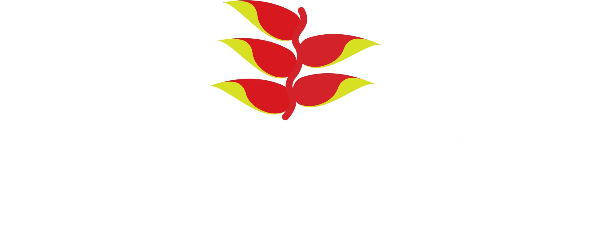 Logo Amazon Palace Hotel