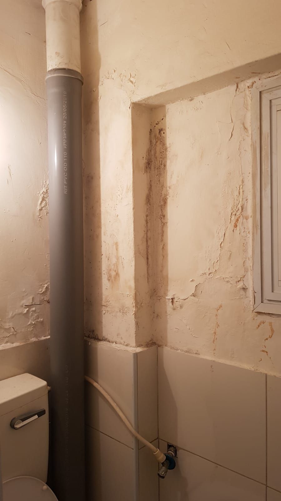 תיקוני שפכטל וצבע