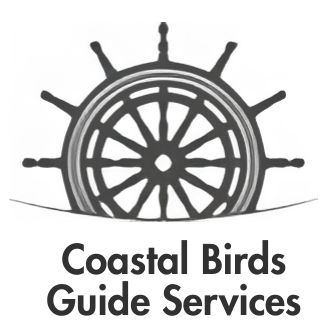 Logo: Ship's wheel rising from the sea,