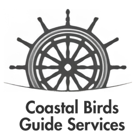 Logo: Ship's wheel rising from the sea,