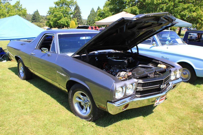 A gray car with the hood up is parked in the grass