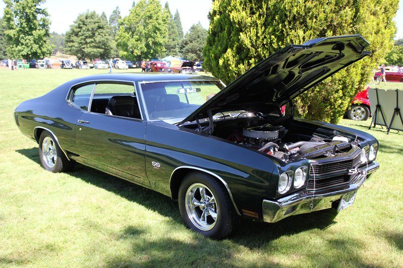 A black car with the hood up is parked in a grassy field.