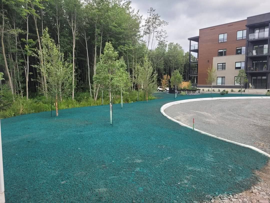 Terrain en hévéas avec de petits arbres, adjacent à un chemin de gravier et à un bâtiment.