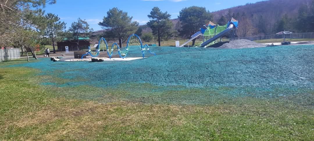 Aire de jeux avec toboggans, structures d'escalade et pelouse verte par une journée ensoleillée.