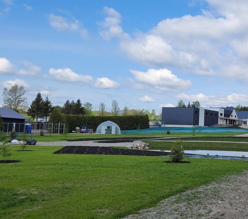Pelouse verdoyante avec parterres de fleurs, petite serre et maisons modernes sous un ciel bleu.