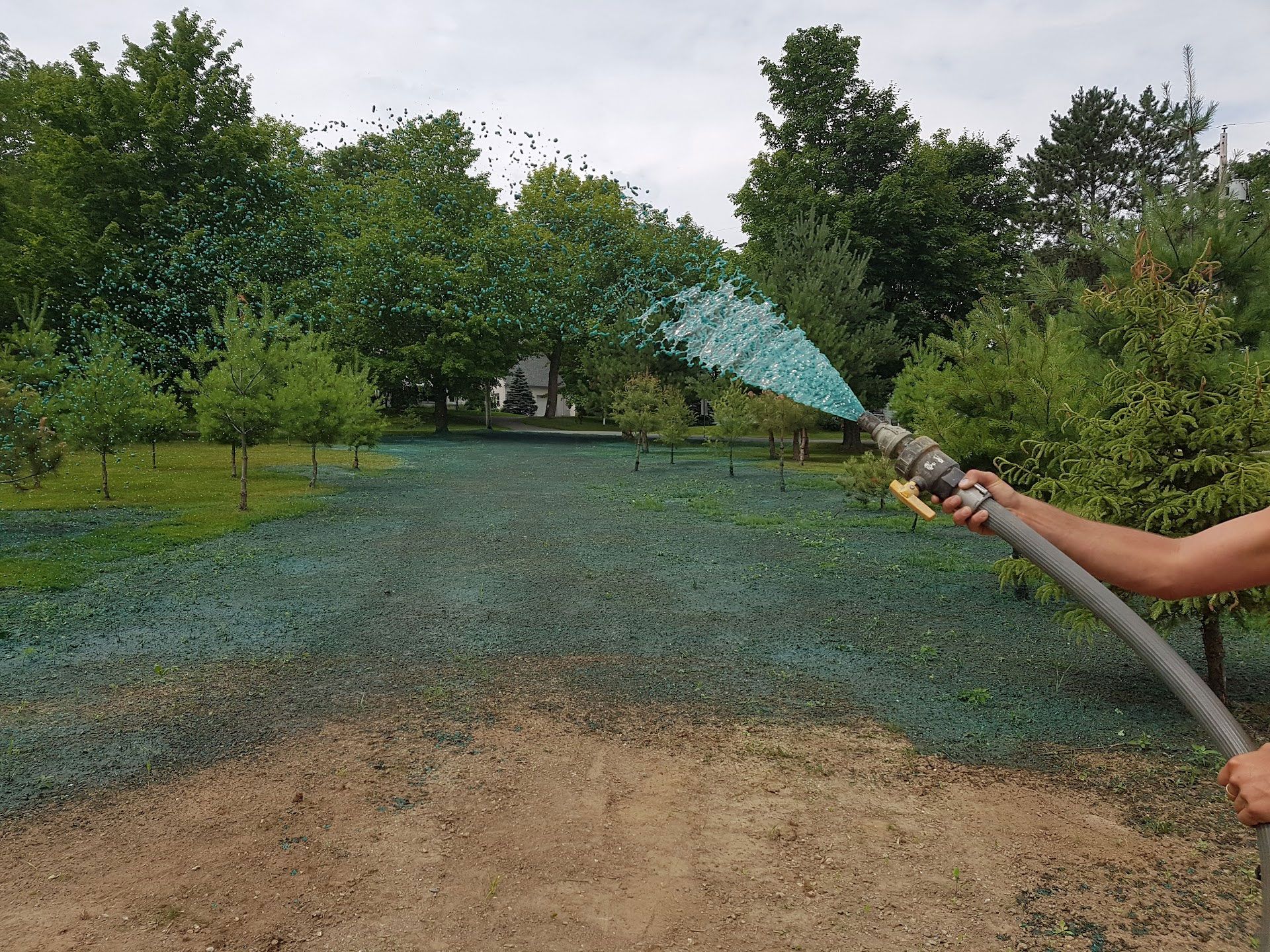 Une personne arrose une pelouse d'un liquide vert à l'aide d'un tuyau d'arrosage. Des arbres sont visibles en arrière-plan.