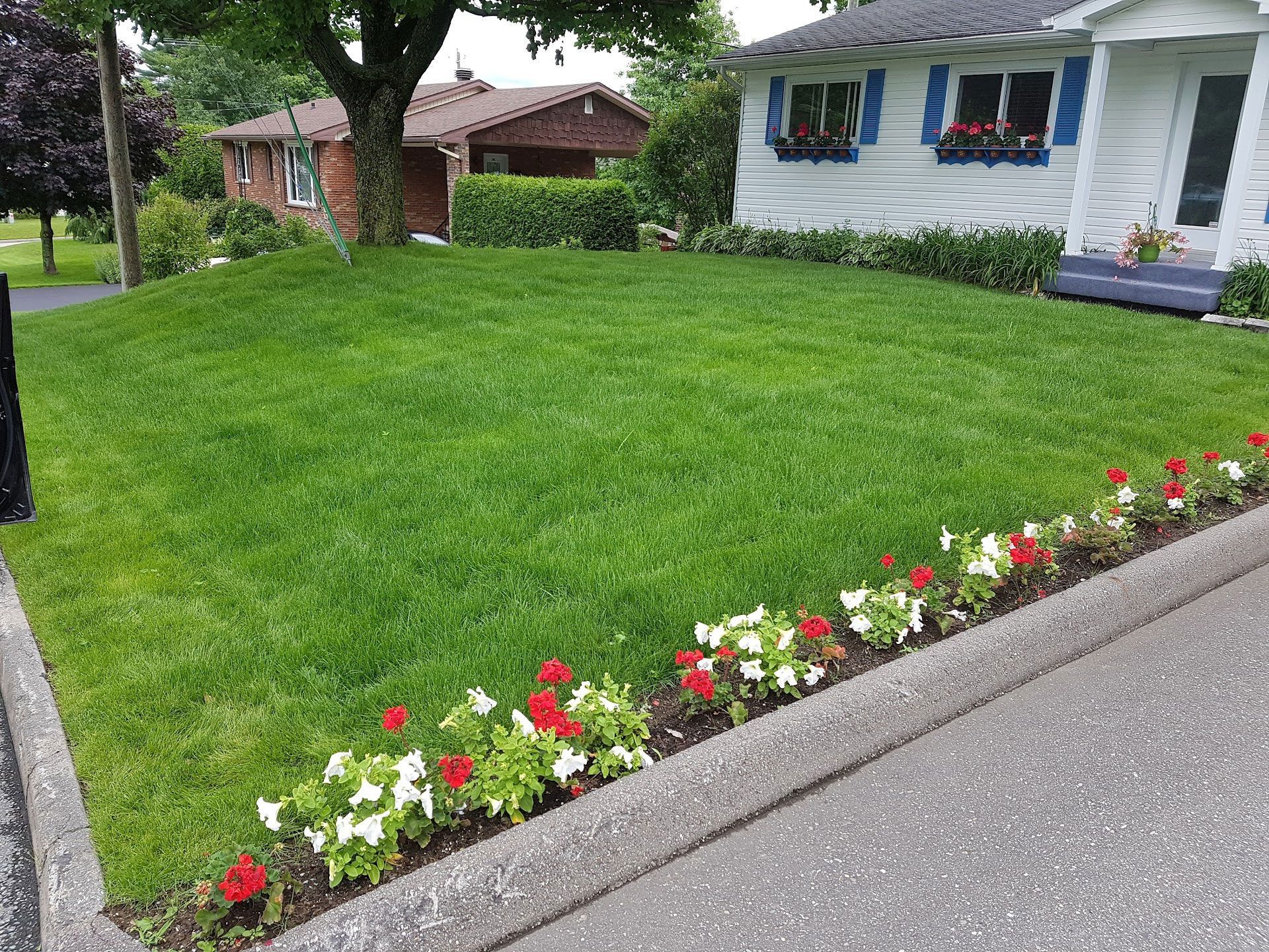 Pelouse verte bordée de fleurs, longeant un trottoir gris à côté d'une maison blanche aux volets bleus.