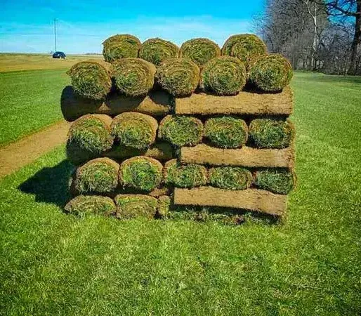 Des rouleaux de gazon empilés sur une pelouse verte, avec un champ et des arbres en arrière-plan, sous un ciel bleu.