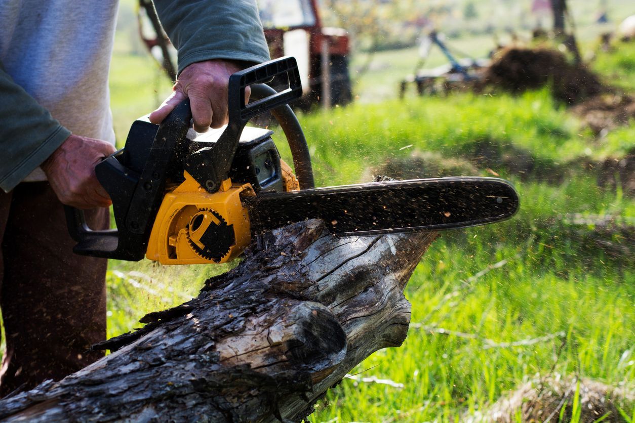 Tree Service in 