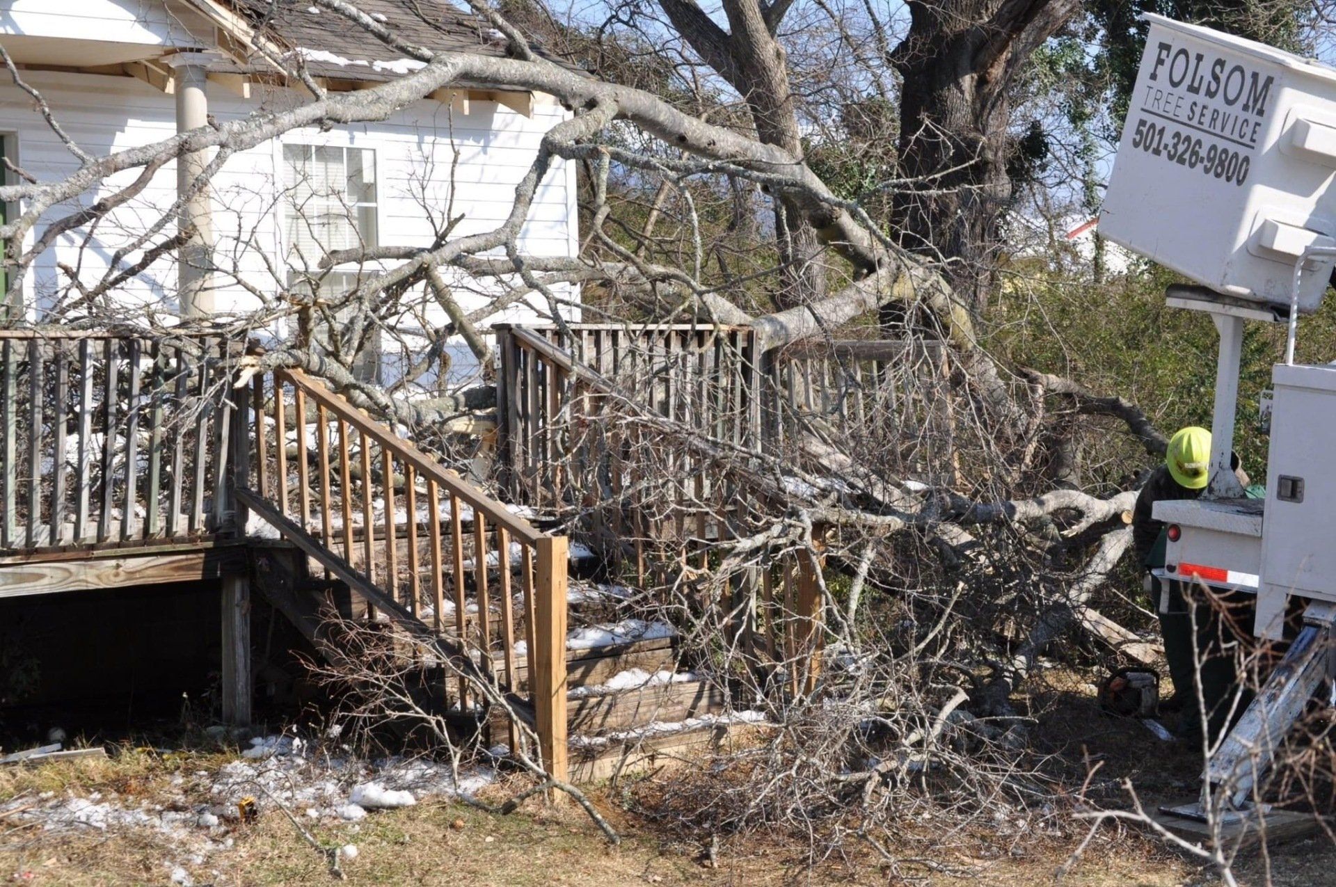 Picture of Tree Damage