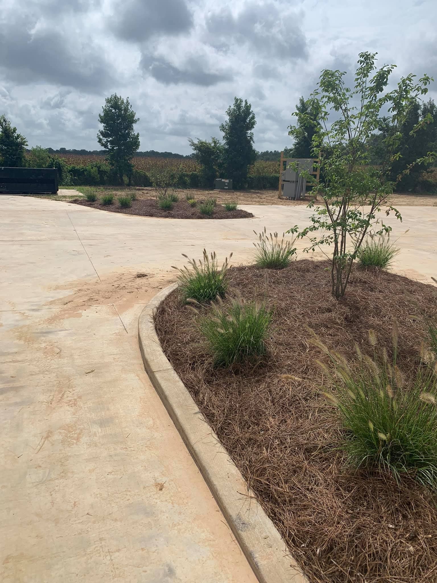 A concrete driveway surrounded by mulch and trees on a cloudy day.