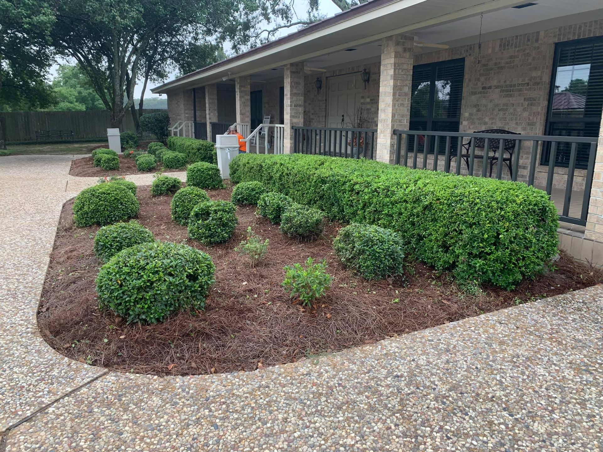 A house with a lot of bushes and shrubs in front of it.